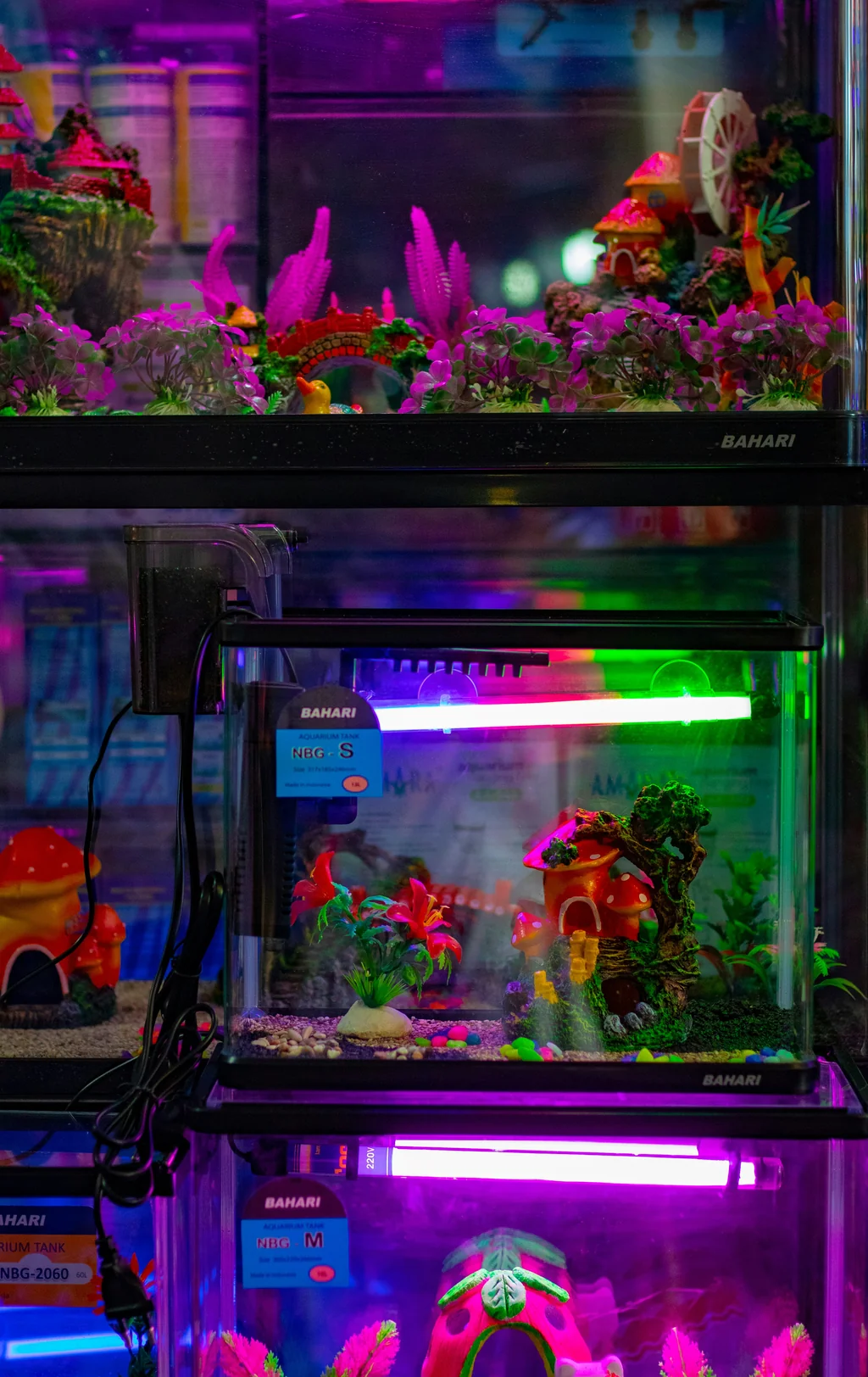 Lit display tanks on the shelves of an aquarium shop