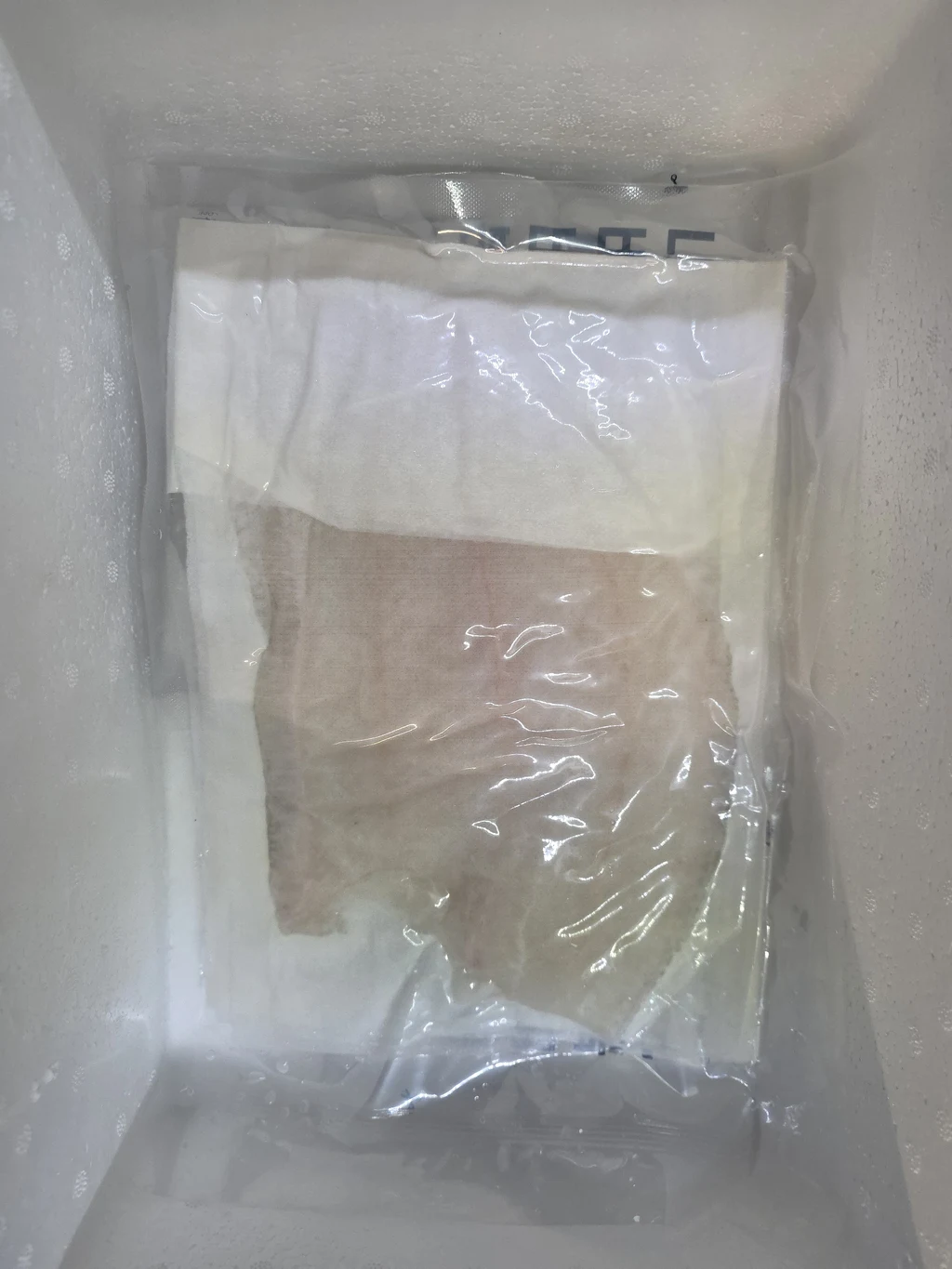 EPS thermal cold shipper crate
