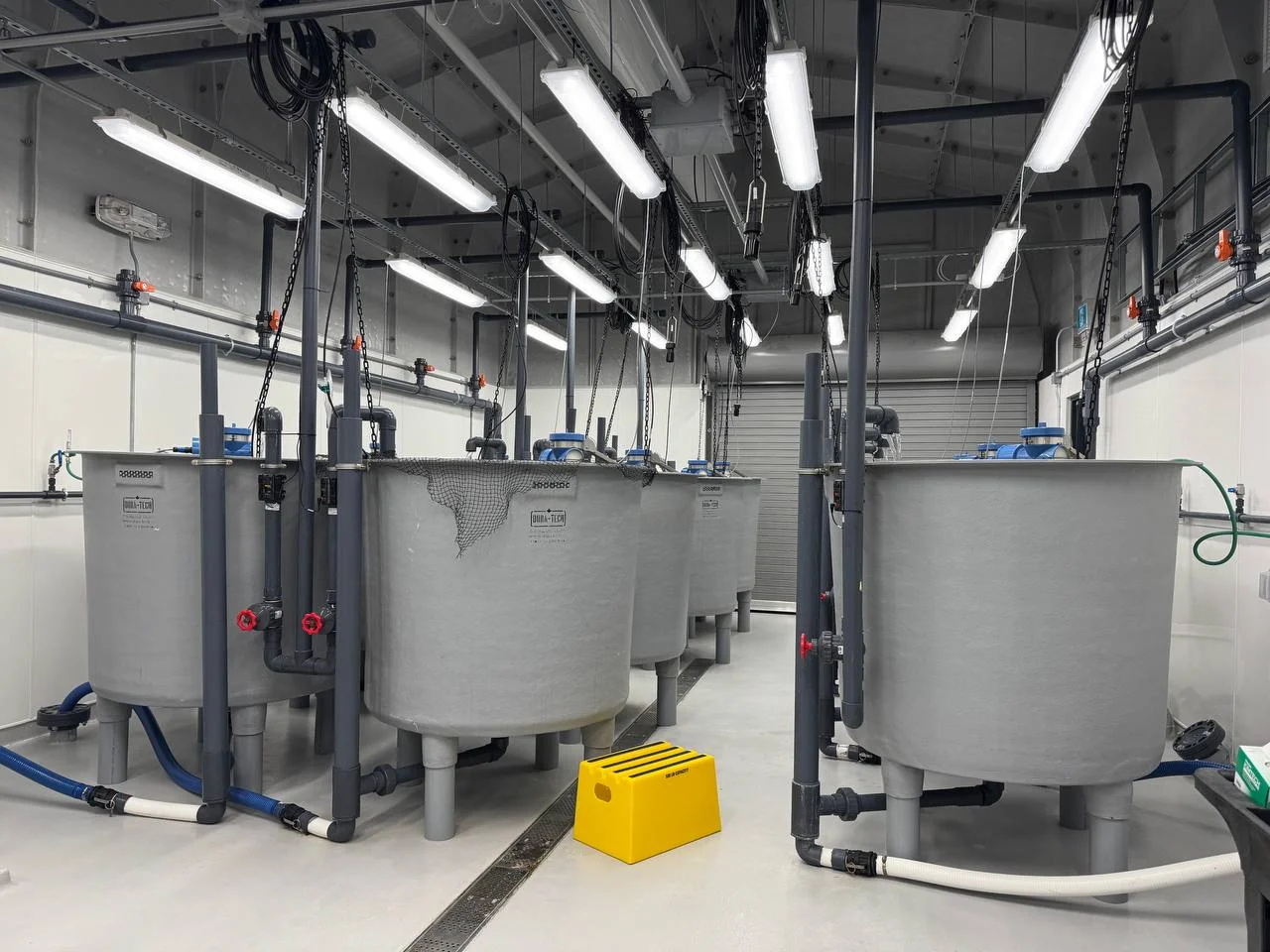 The RAS hatchery hall on the campus tour