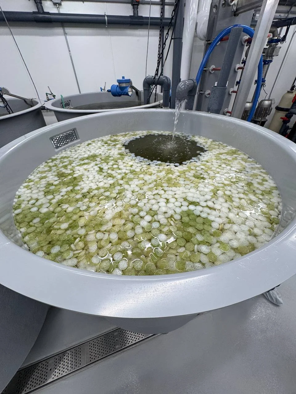 Water inflow over moving-bed biofilter media