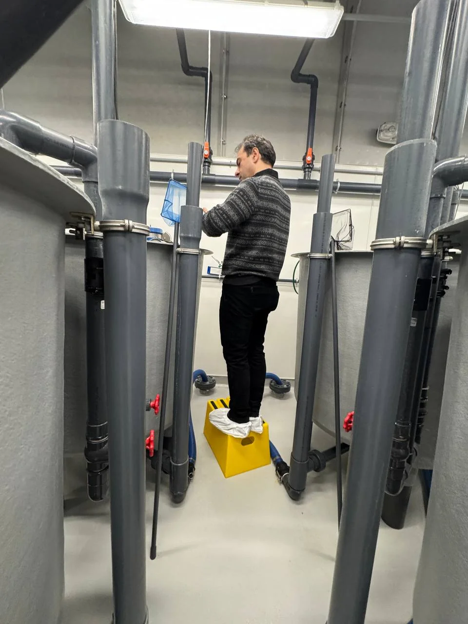Checking a rearing tank between sessions