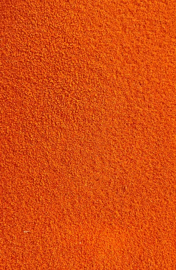 Close-up of orange shell-free decapsulated Artemia cysts