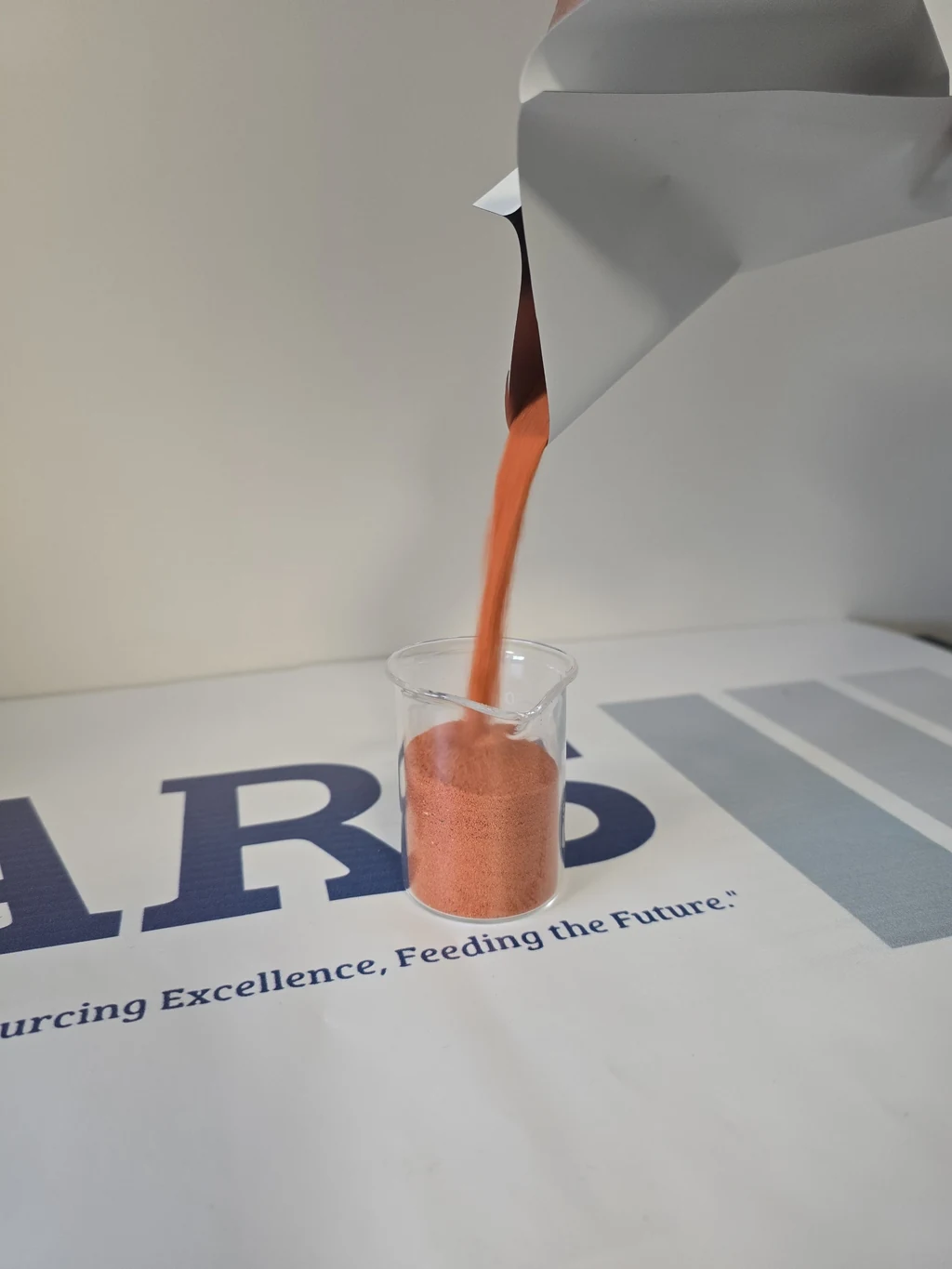 Pouring free-flowing golden-orange decapsulated Artemia cysts into laboratory glassware
