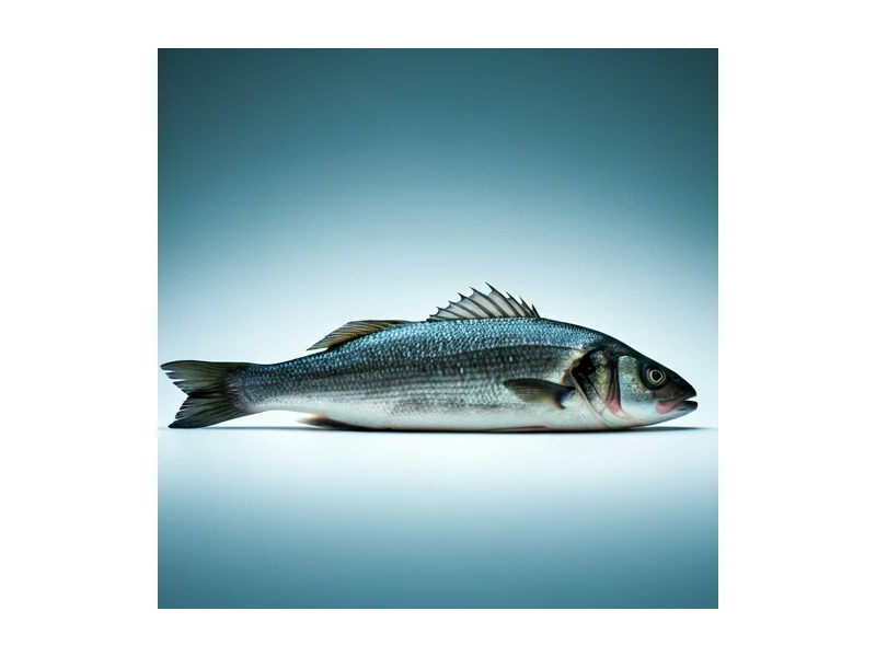 Exportación de Pescados y Mariscos
