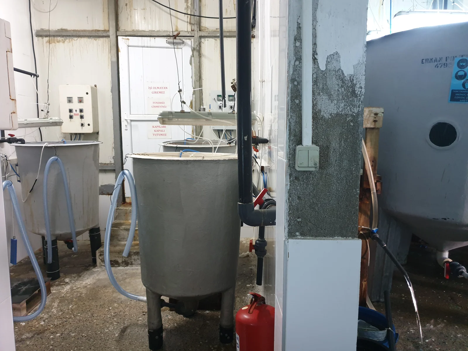 Aegean Region Hatchery Rearing & Rotifer Biomass Optimization