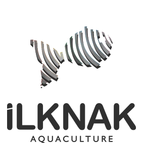 ilknak Logo
